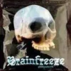 Brainfreeze Herbal Incense premium herbal incense product packaging available at k2spraysheet